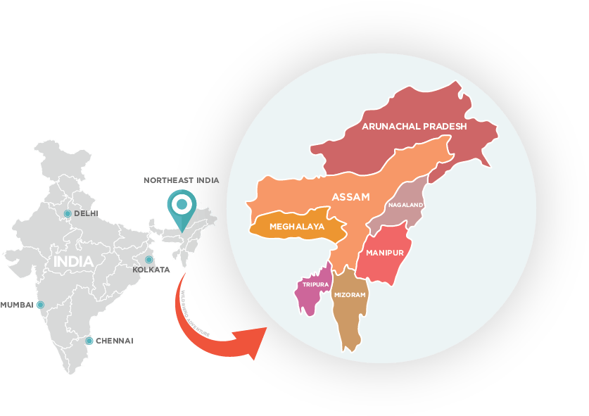 North East India Map
